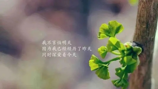 充满正能量的网名大全