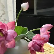 那些意境很美的网名精选
