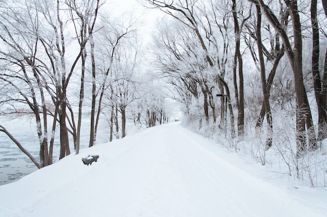 那些冬天下雪发朋友圈的文案