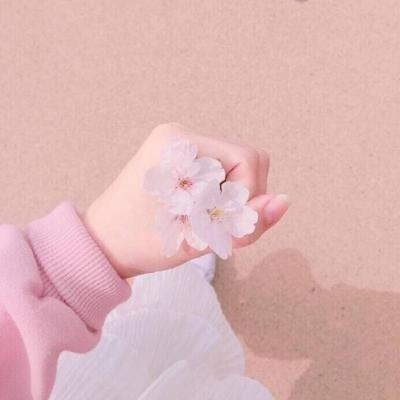 qq头像简单清新