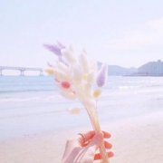 简单美好的小清新头像图片