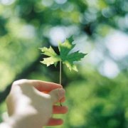 非常有感觉的小清新头像