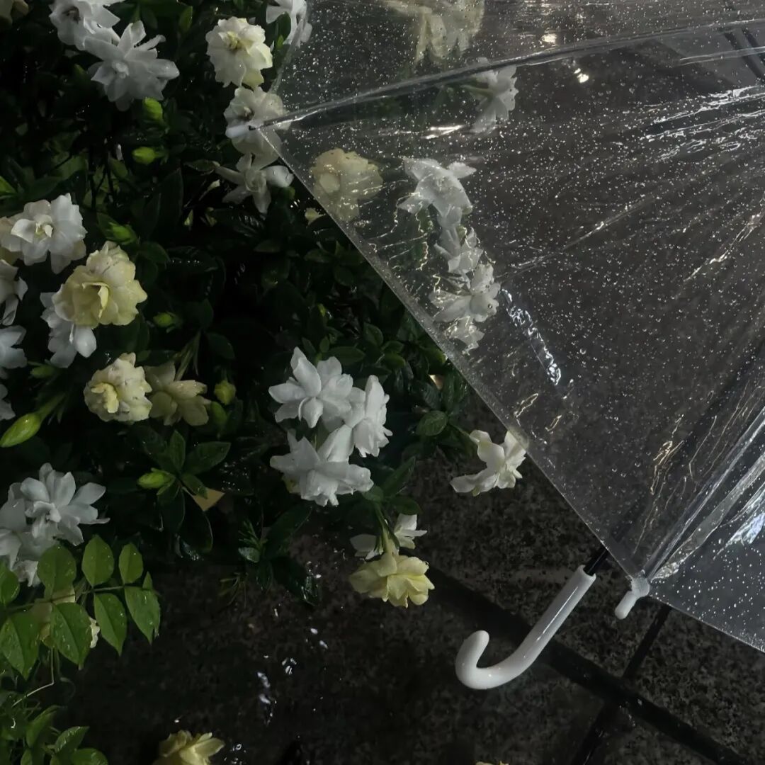 100个高级又好听的网名 不烂大街